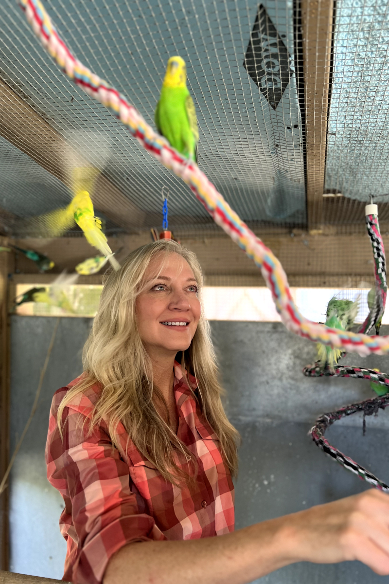 Laurie Hood and a green bird with yellow head at Alaqua Animal Refuge.