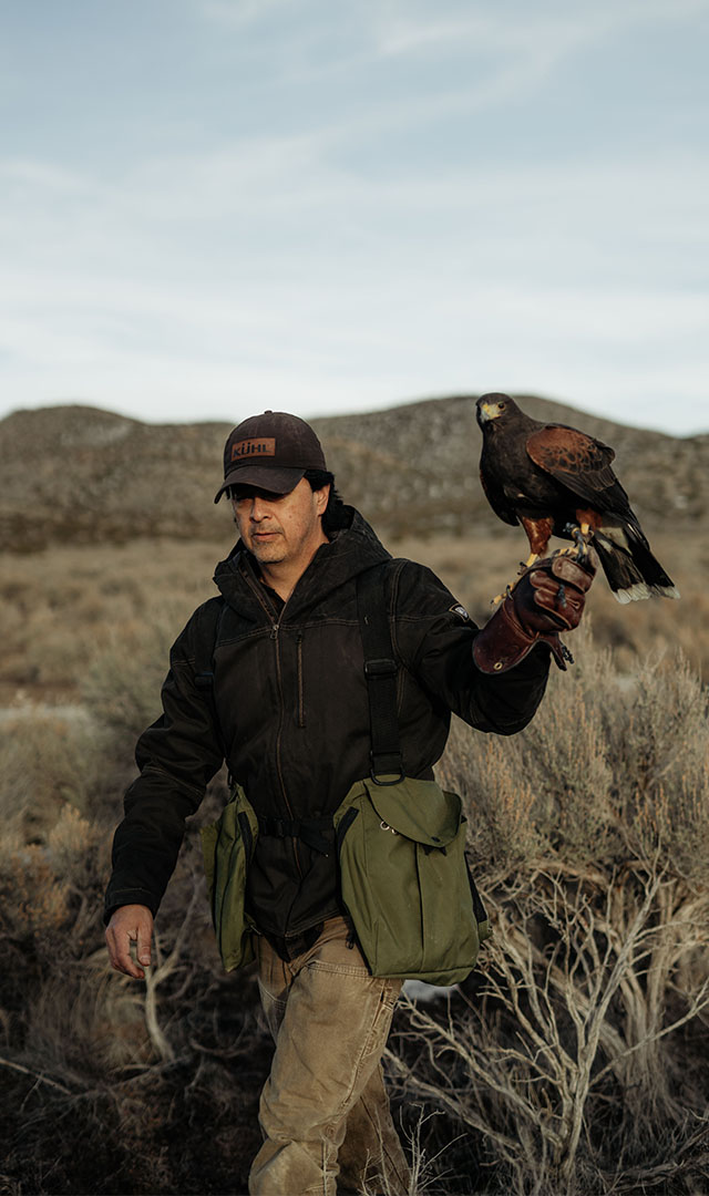 Manny carrying his falcon on a field