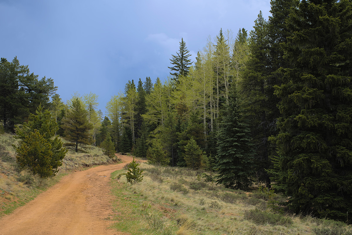 Hikes Near Denver  3