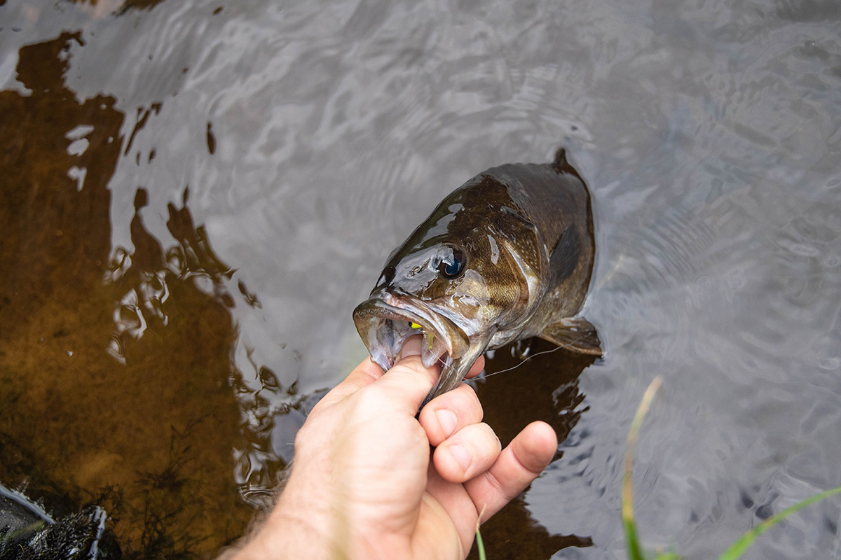 Fishing in Bull Shoals Lake 5