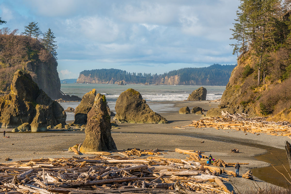 Best Hikes In Olympic National Park 4