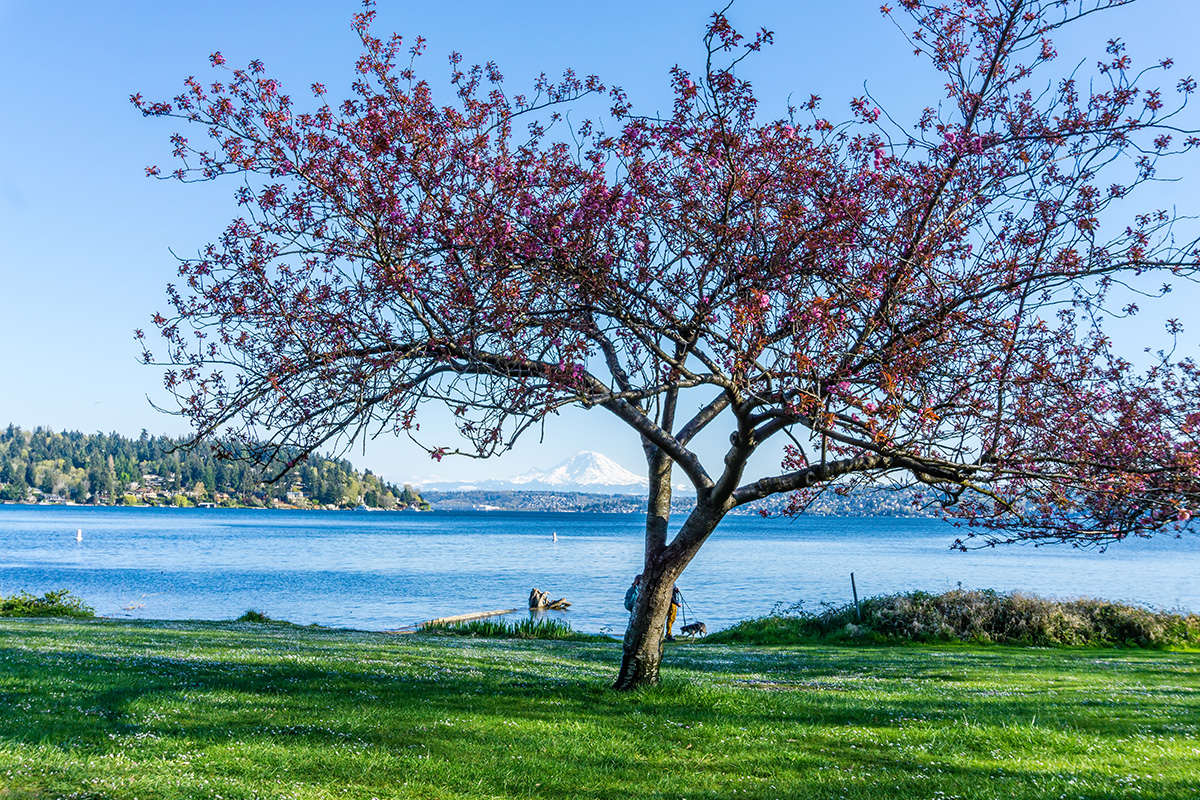 Seattle Hiking Trails 2