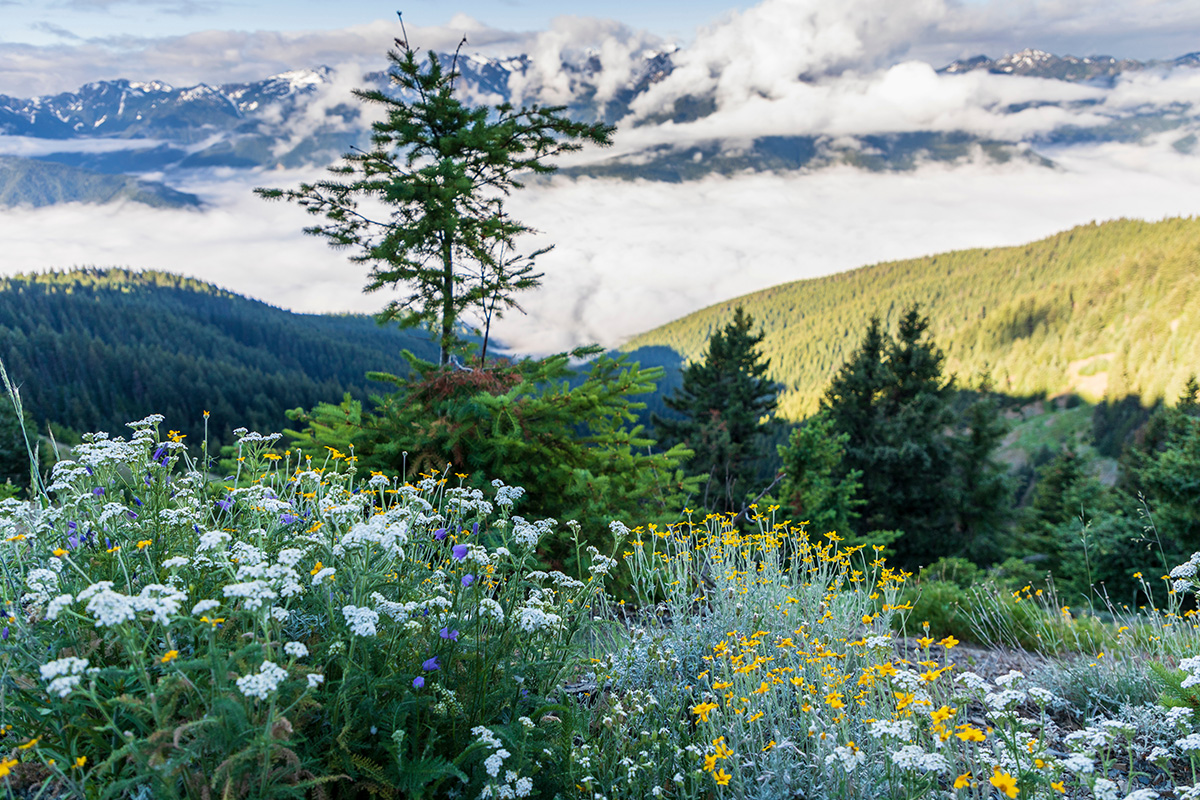 Seattle Hiking Trails 6