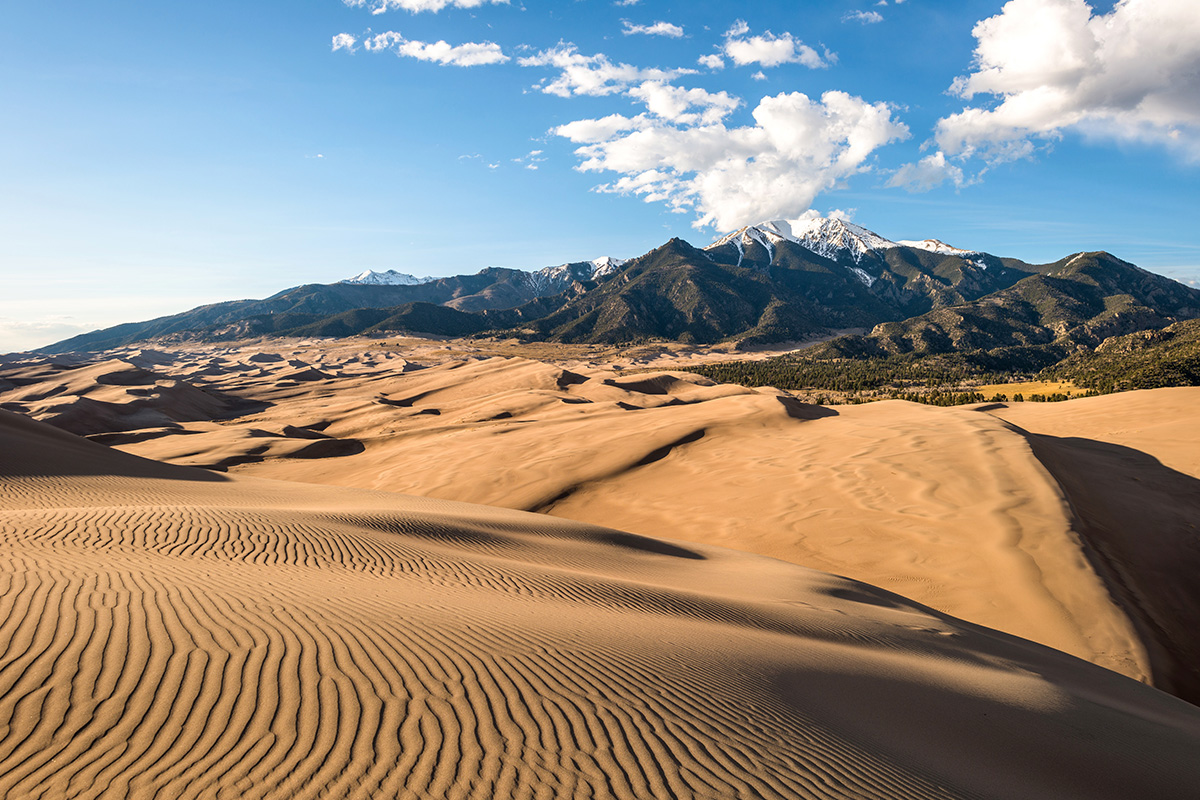 sand dunes 1