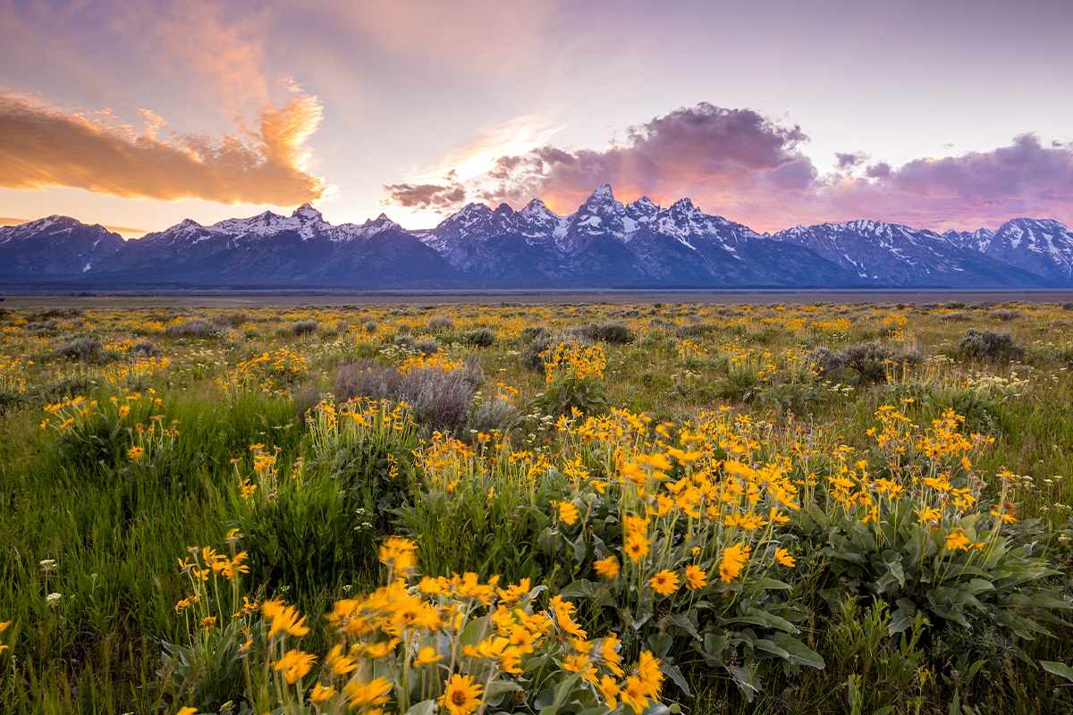 Grand Teton National Park 15