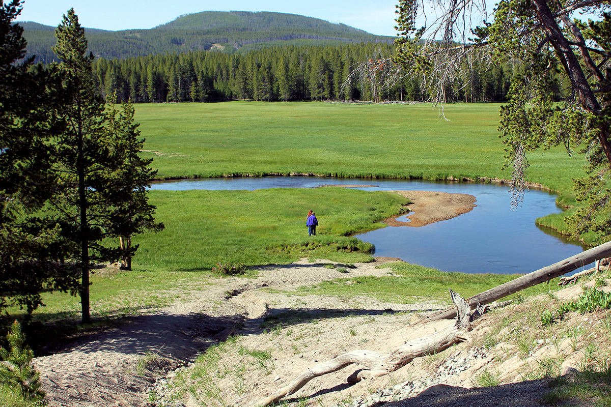 Yellowstone Camping 3