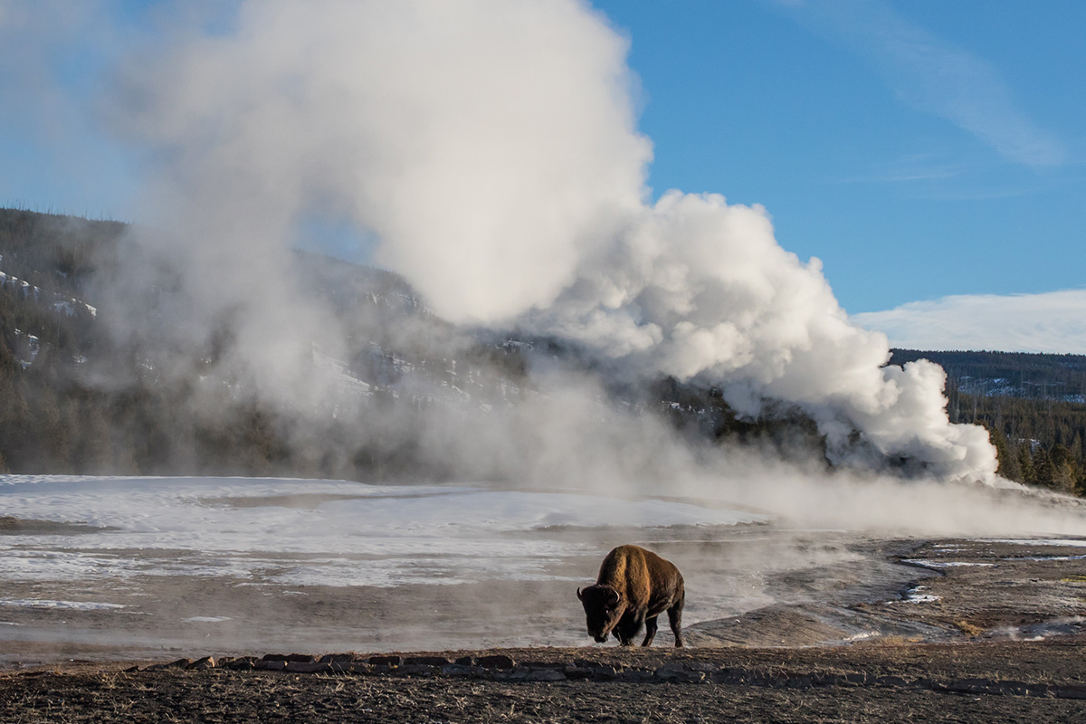 Yellowstone Camping 5