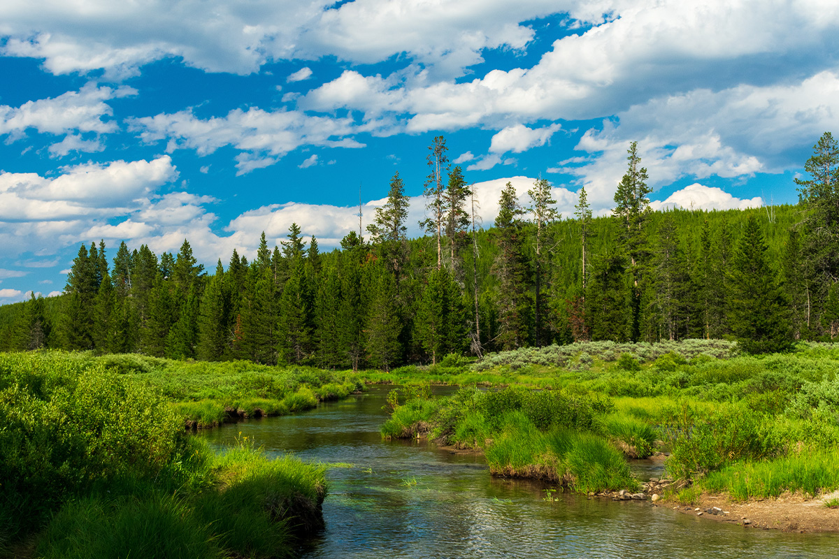 Yellowstone Camping 8