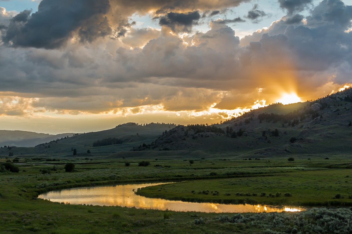 Yellowstone Camping 8