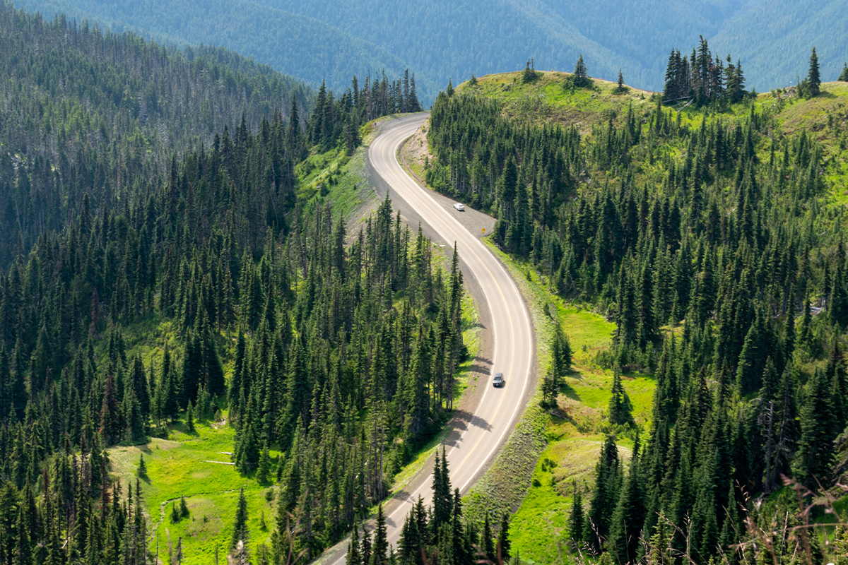 Olympic National Park Guide - Top Attractions & Tips 1