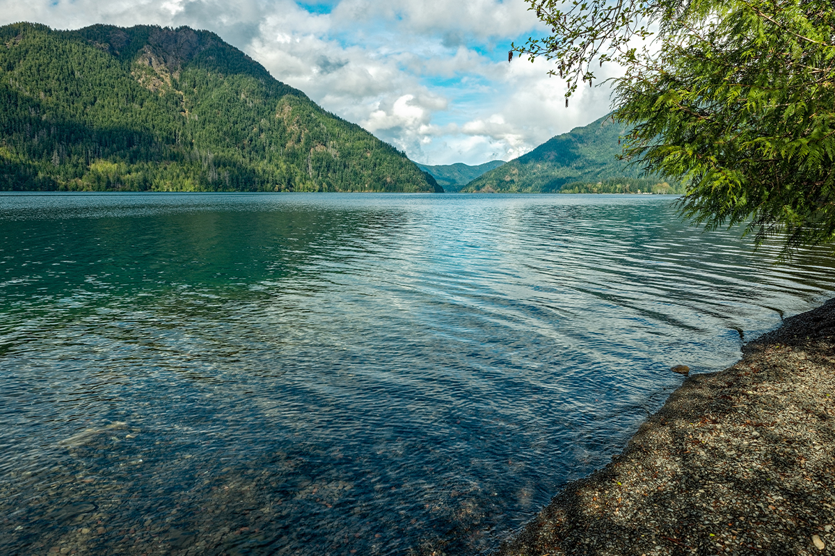 Olympic National Park Guide - Top Attractions & Tips 2