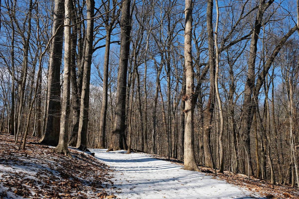 Rock Creek Trail Guide 4