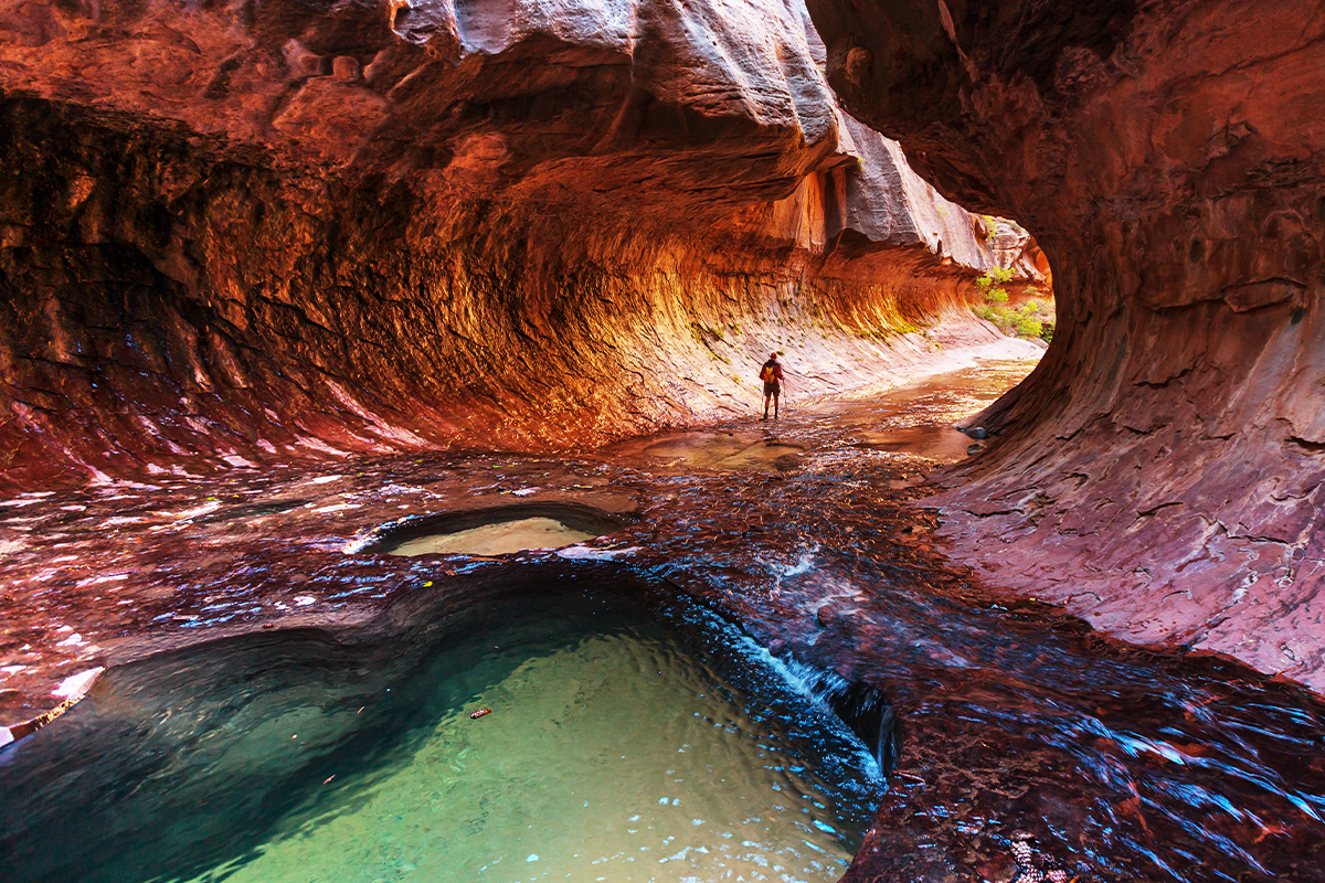 Zion National Park 7