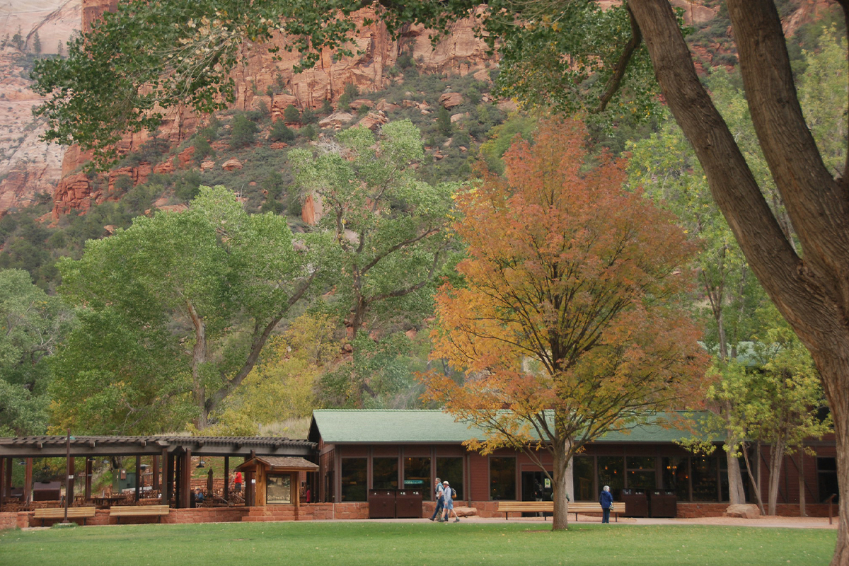 Zion National Park 2