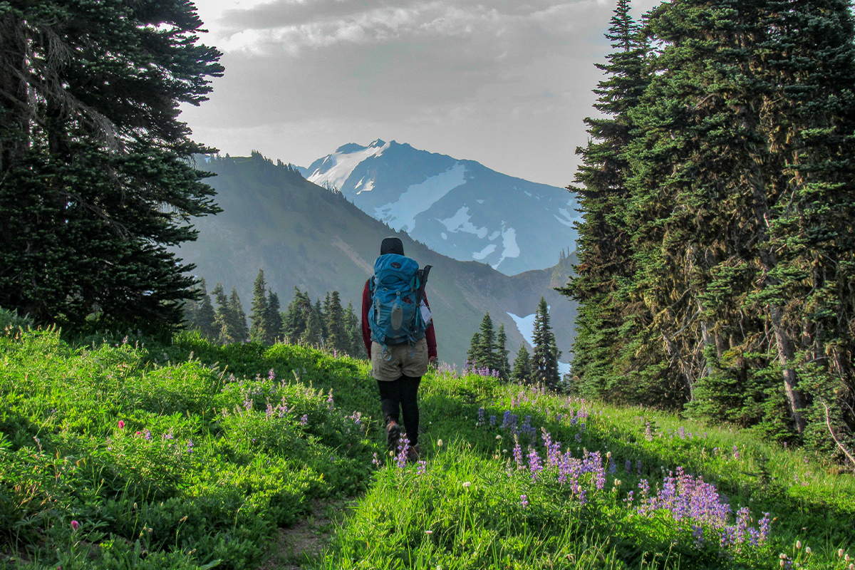 Things to Do in Olympic National Park 7