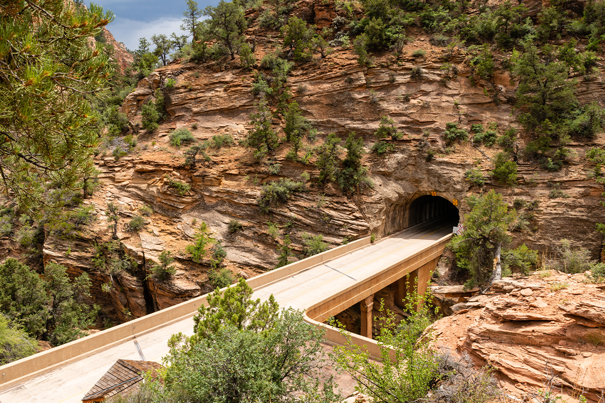 Explore the Beauty of Zion National Park 10