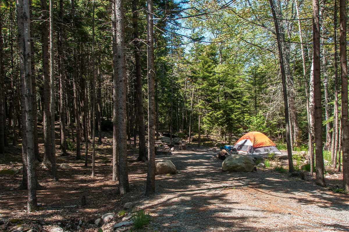 Best Things to Do in Acadia National Park 3