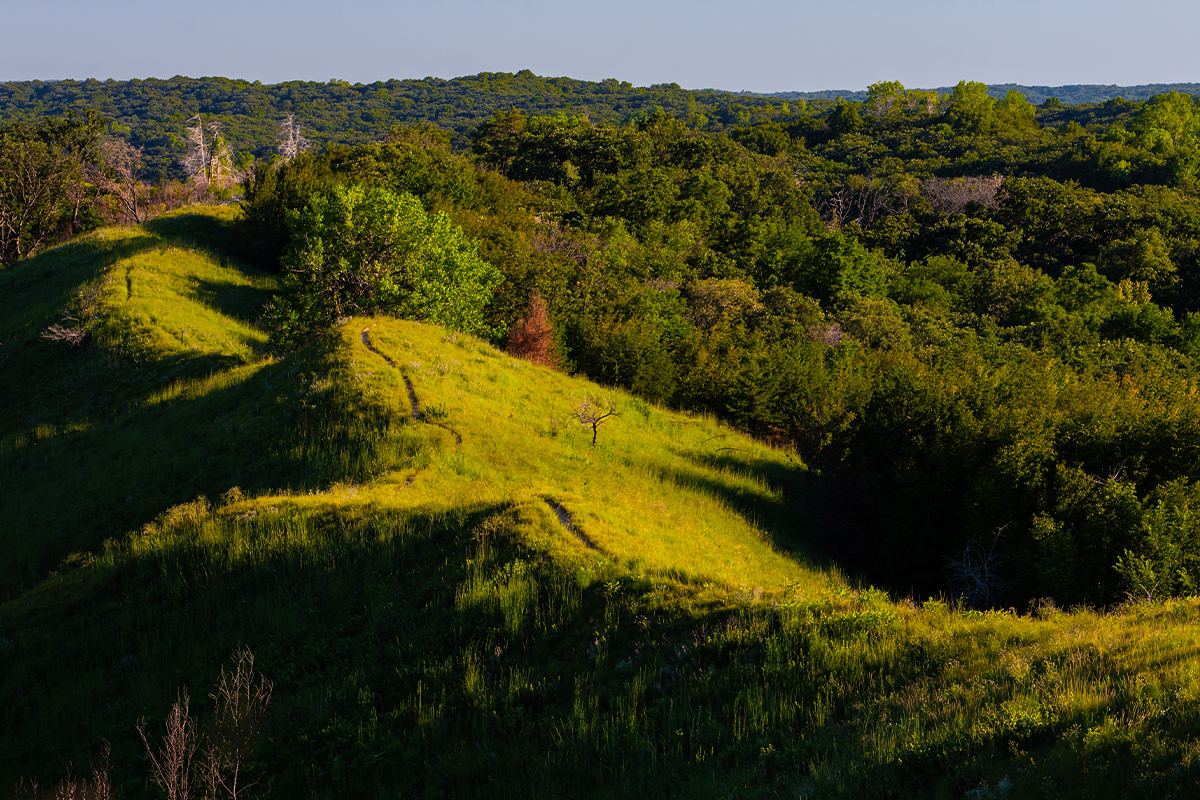 Explore the Best Hiking Trails in Iowa 2