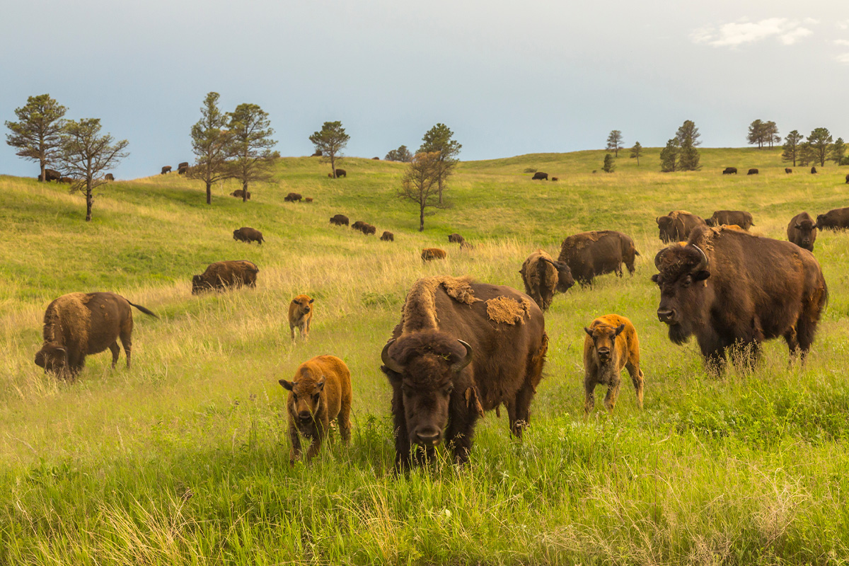 Six Best Hiking Trails in the Midwest 0