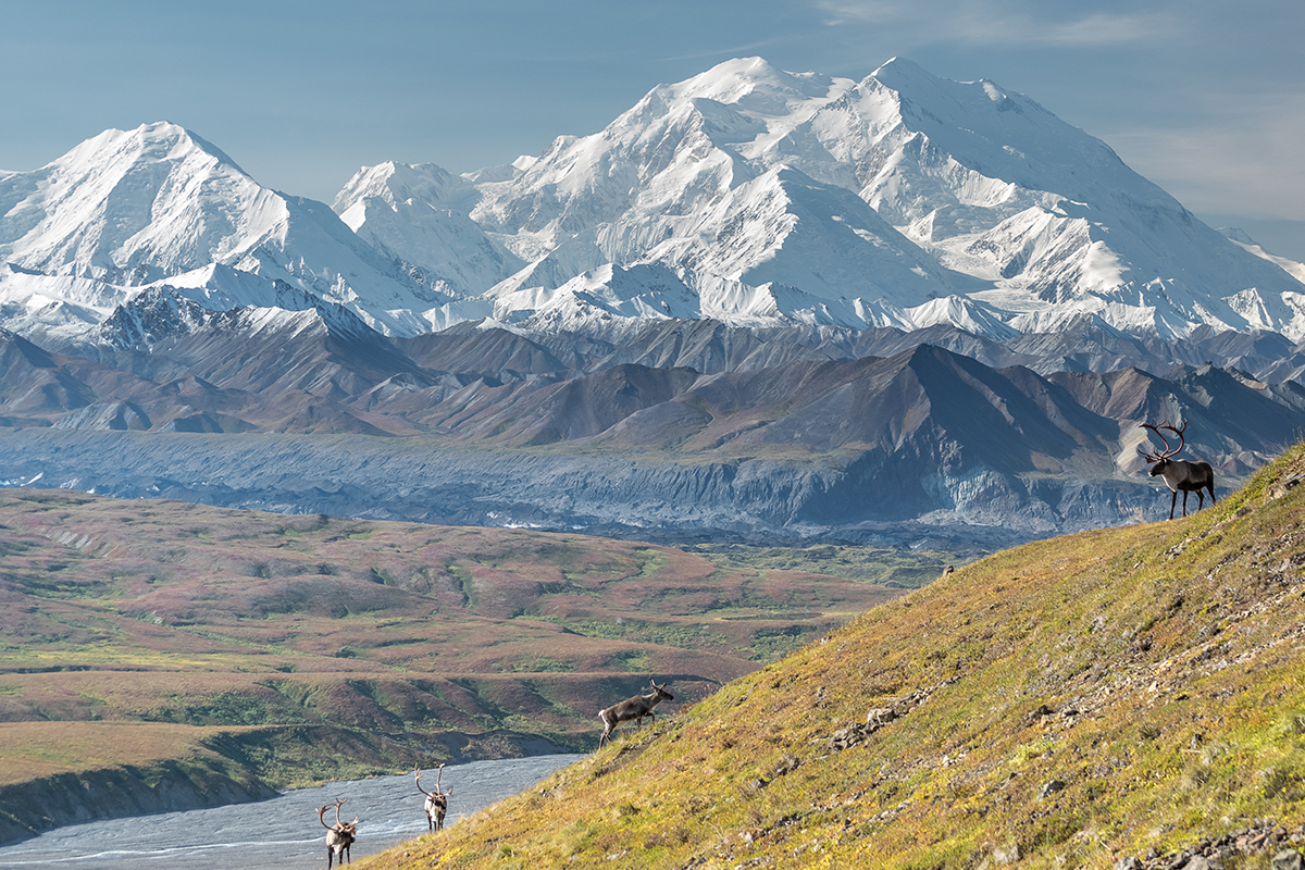 Things to Do in Denali National Park 11