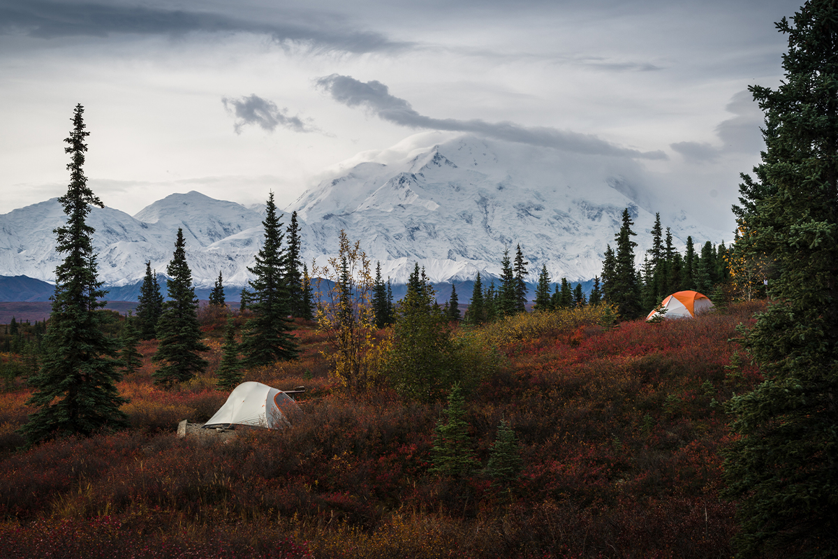 Things to Do in Denali National Park 2