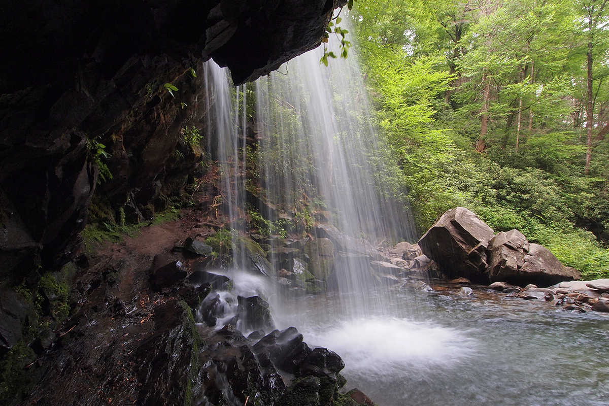 Things to Do in Great Smoky Mountains National Park 9