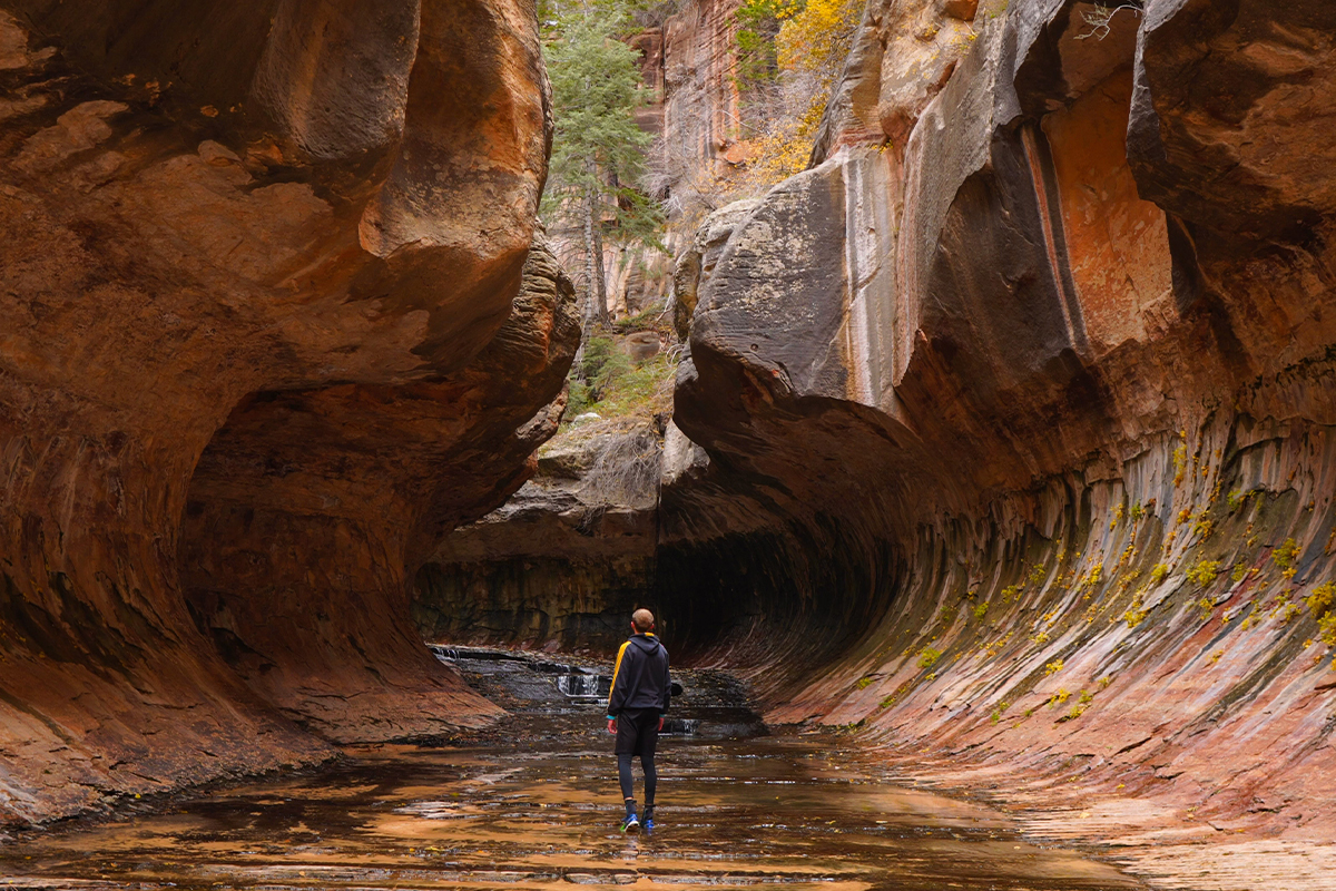 Best Hikes in Zion National Park fi