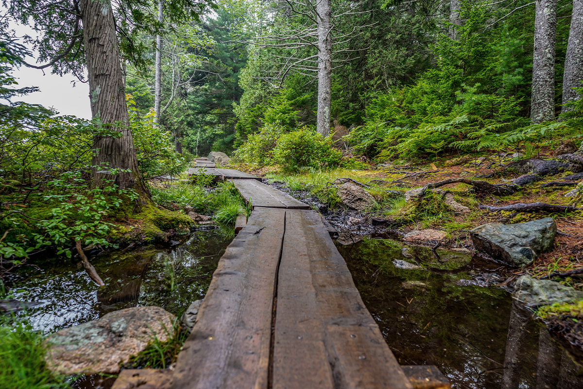 Best Hikes in Acadia National Park 1