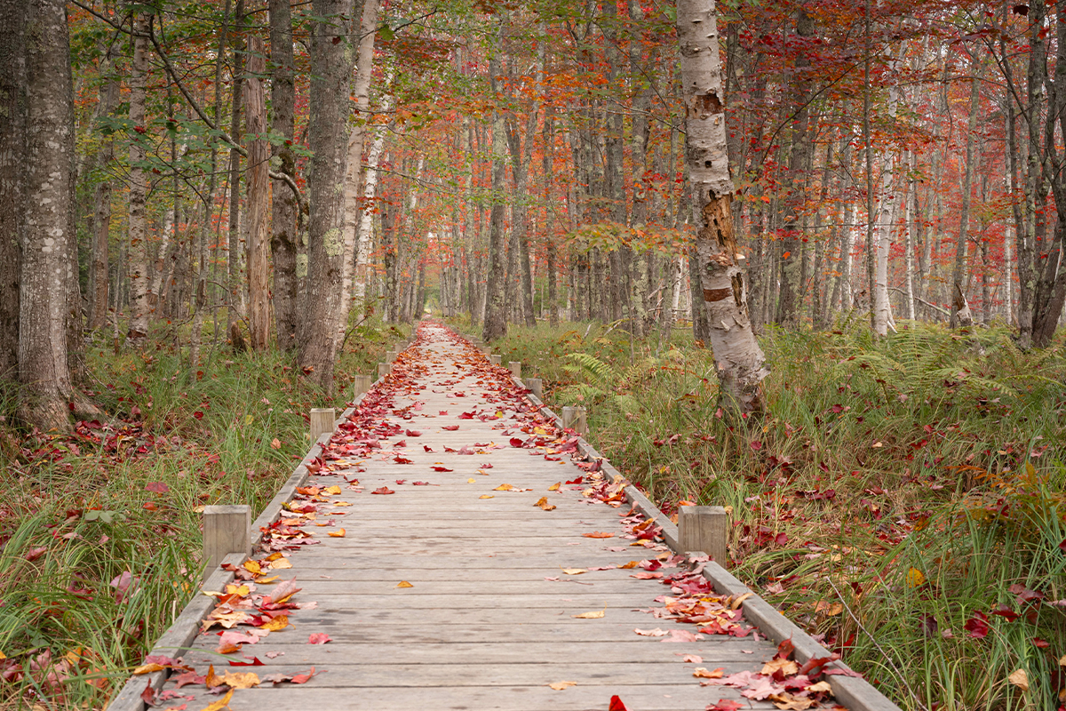 Best Hikes in Acadia National Park 7