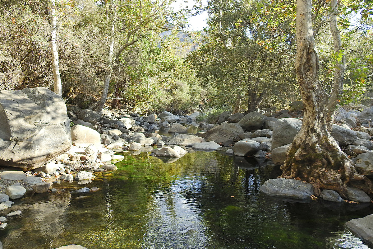 Best Hikes in Sequoia National Park 10