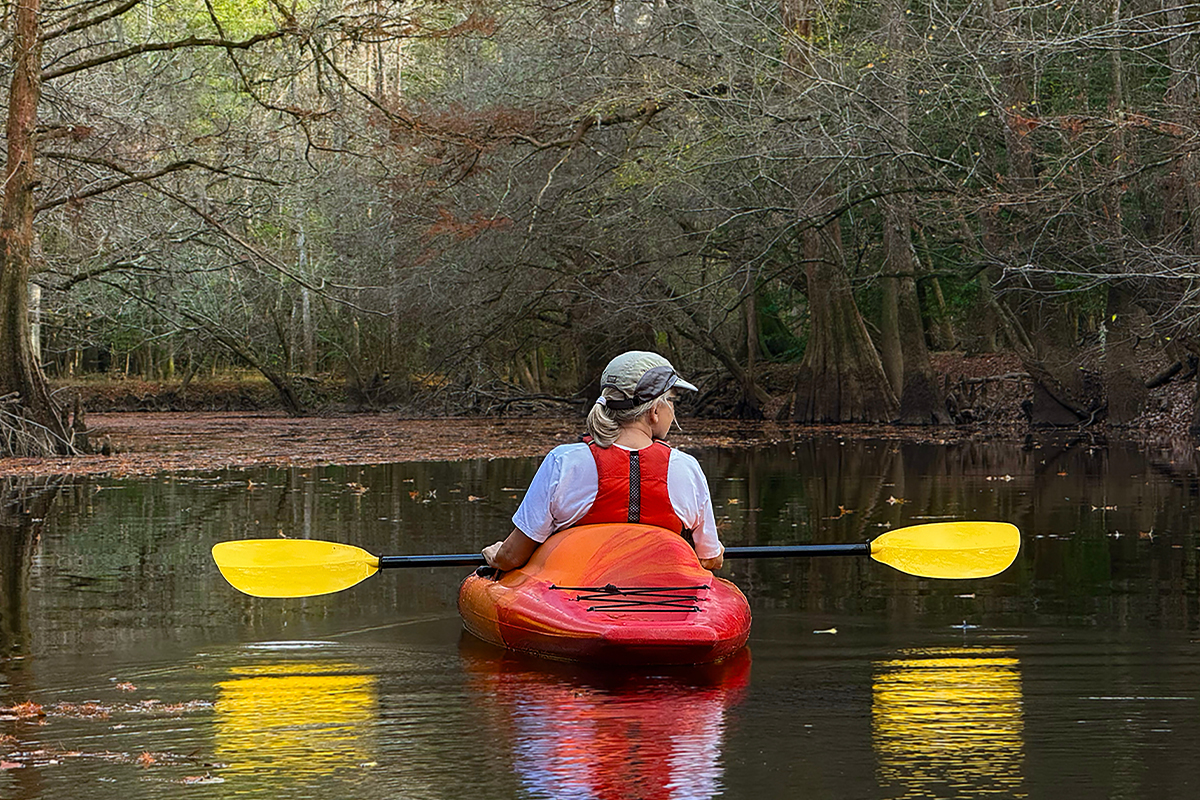 Best Things to Do in Congaree National Park 3