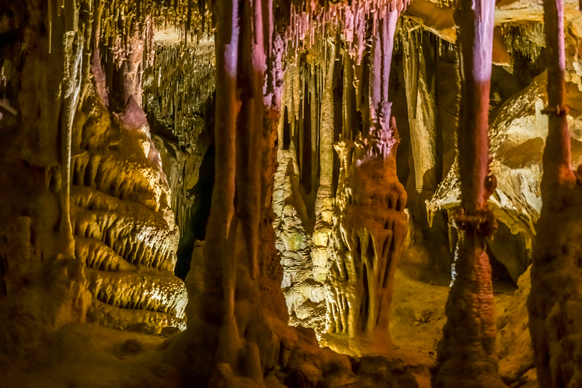 Best Things to Do in Great Basin National Park 1
