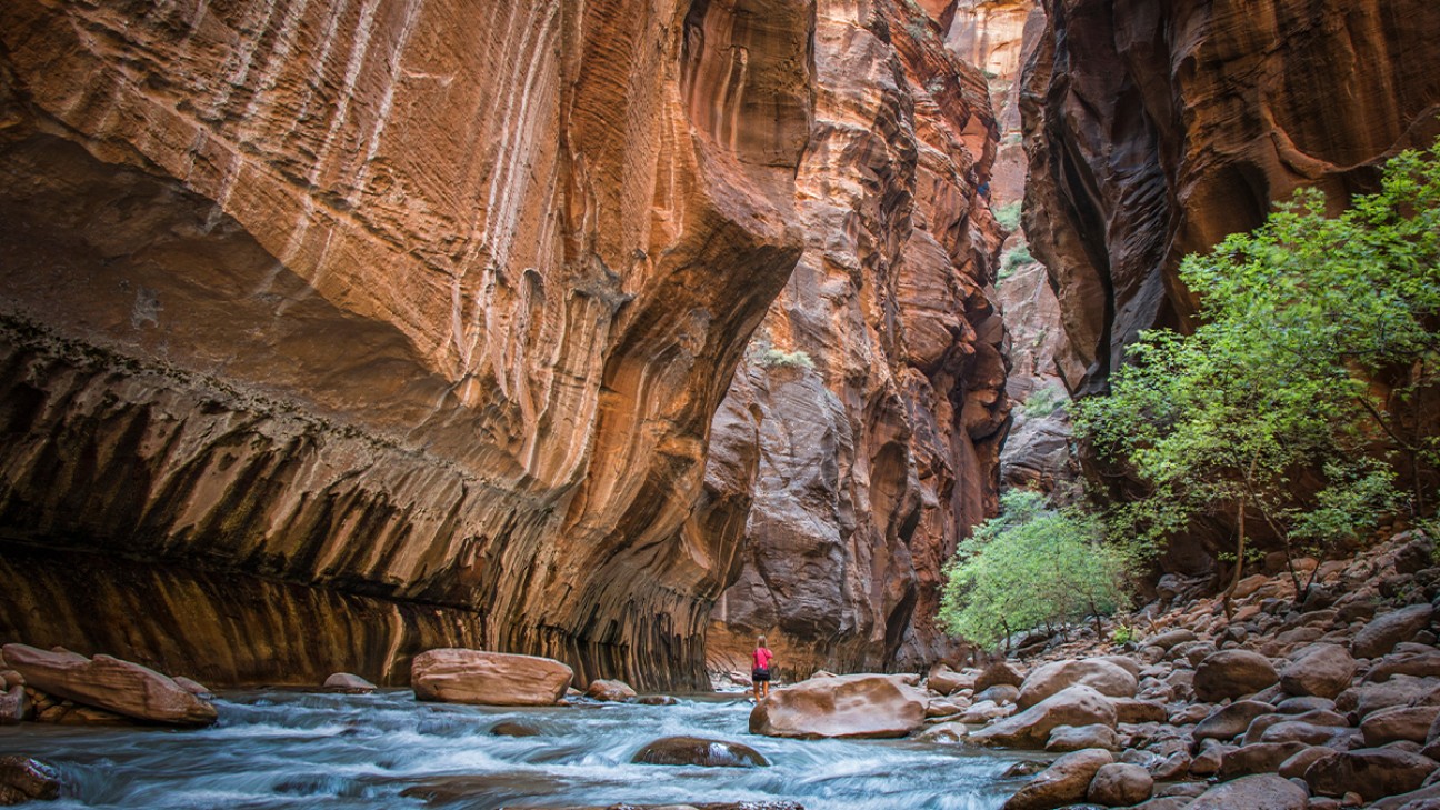 Zion National Park FI