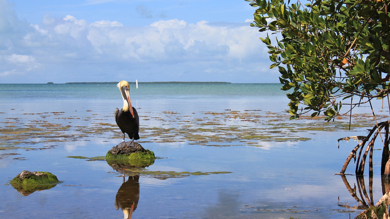 Things to Do in Everglades National Park fi