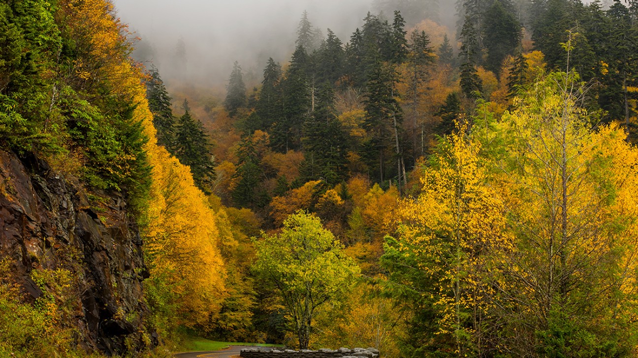 Things to Do in Great Smoky Mountains National Park FI