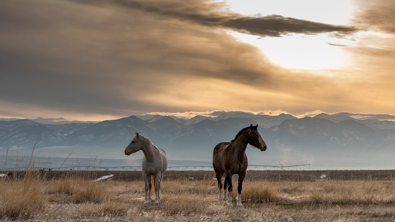 Planning the Perfect Family Vacation in Bozeman fi