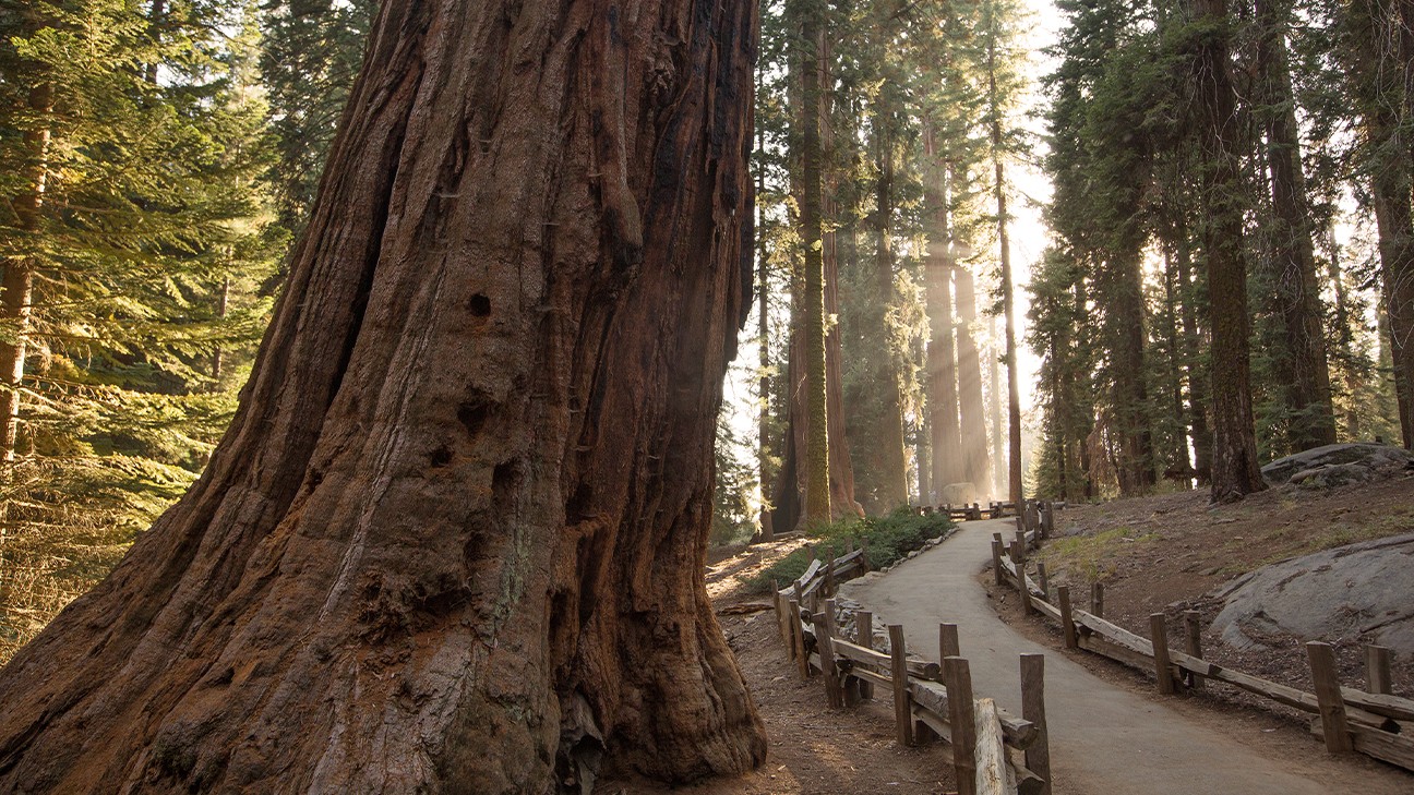 Best Hikes in Sequoia National Park fi