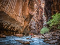 Zion National Park FI