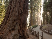 Best Hikes in Sequoia National Park fi