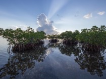 The Best Things to Do in Biscayne National Park: A Complete Guide fi