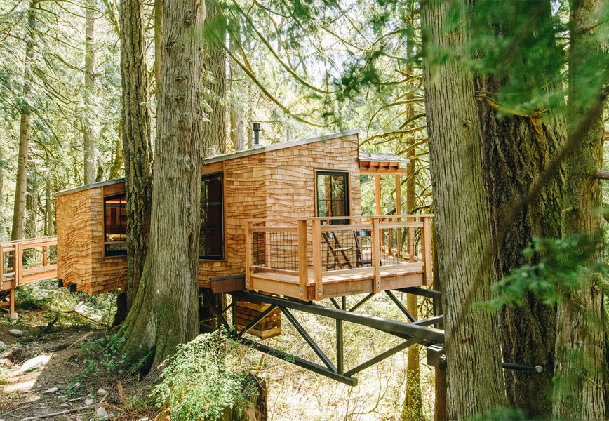 Trees and Treehouse Lodging Cabins in USA