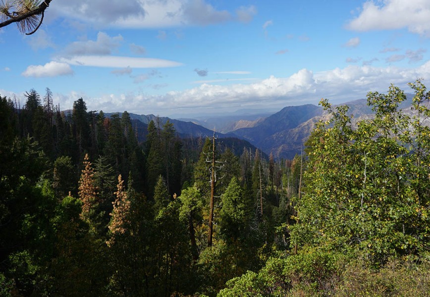 The Best US States for Hiking according to data