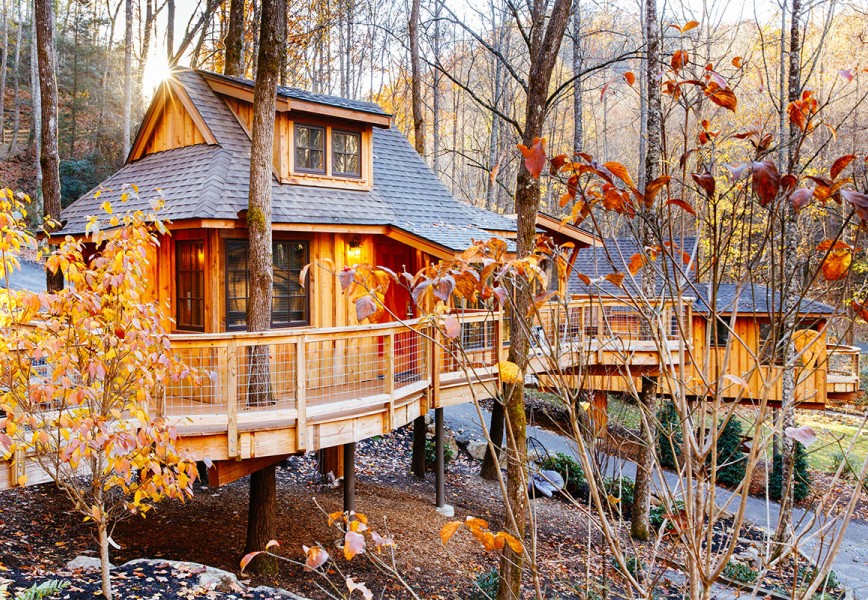 Treehouse Lodging Cabins in USA