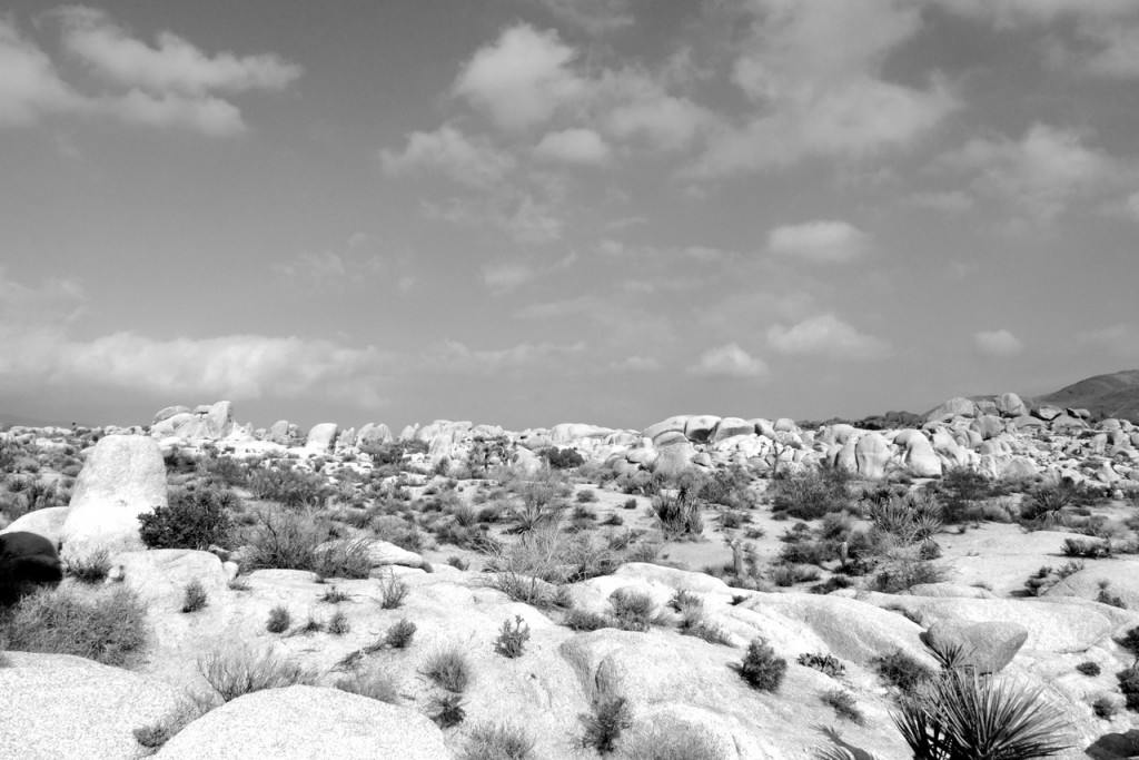 Desert scrub and boulders greet the road-weary climber