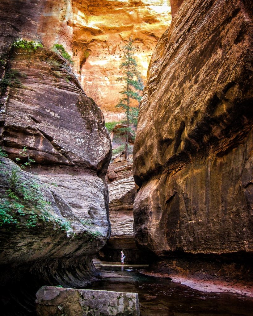 Zion_Subway_CanyonWalls2