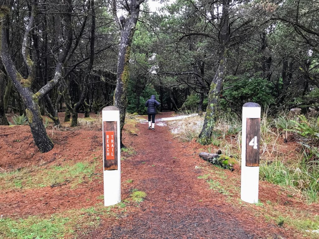 A person in KUHL men's hiking clothing walking down a beaten path through a forest