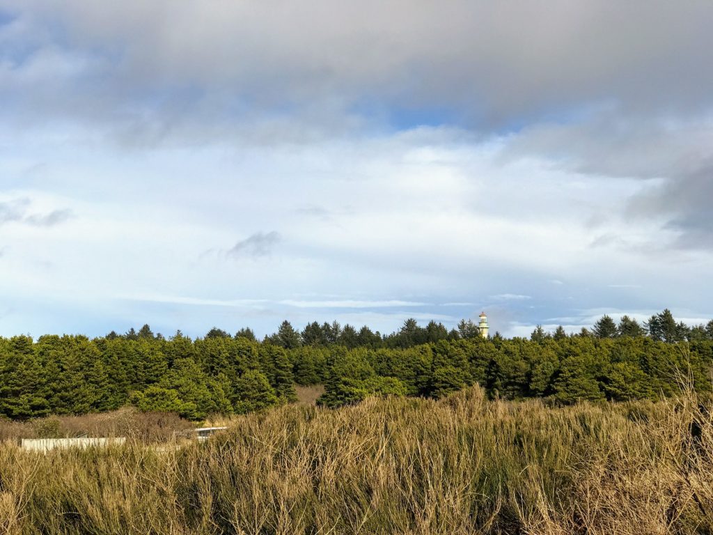 A landscape image of a sunny day, full of greens and yellows