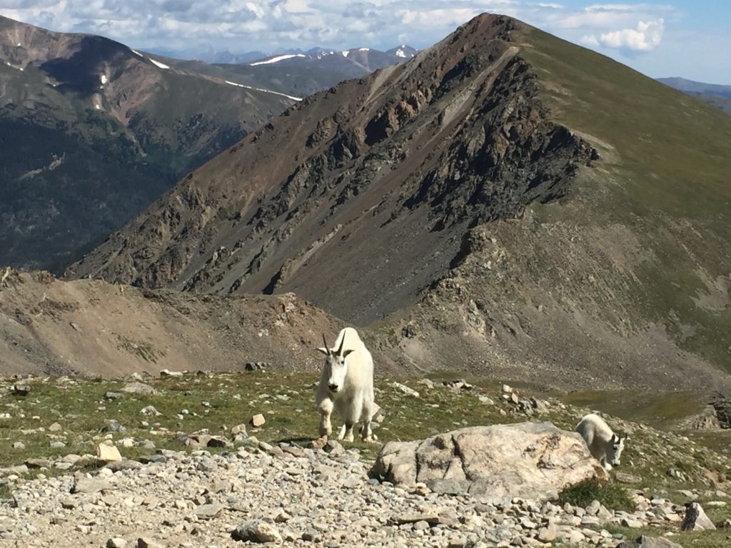 Summit view of a green valley.