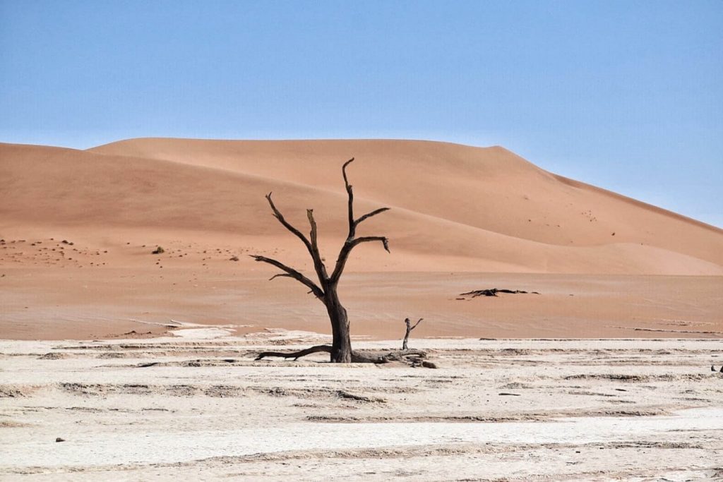 Deadvlei