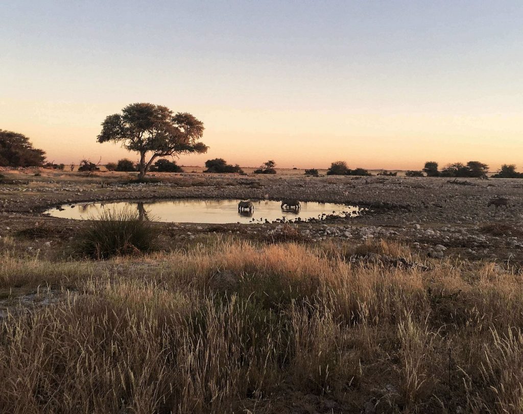 Sunset Etosha